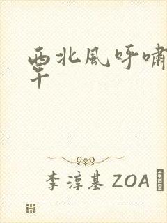 西北风呼啸的中午