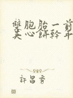 双胞胎一前一后夹心饼干年下封面