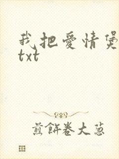 我把爱情煲成汤txt