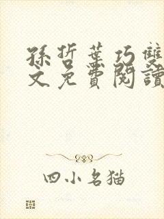 孙哲叶巧双修全文免费阅读笔趣阁封面