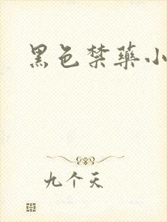 黑色禁药小说