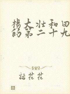 杨大壮和田桂花的第二十九