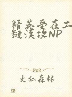 精英受在工地被糙汉攻NP封面
