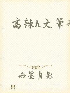 高辣h文笔趣阁
