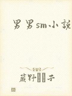 男男sm小说