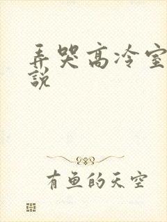 弄哭高冷室友小说