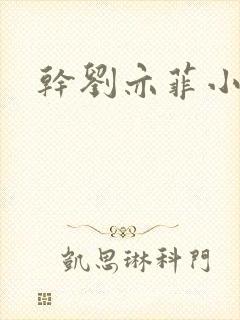 干刘亦菲小说