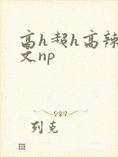 高h超h高辣h文np