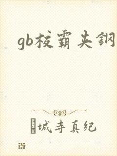 gb校霸夹钢笔封面