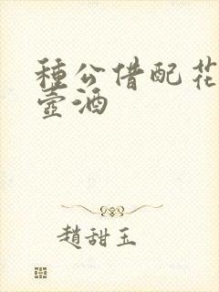 种公借配花间一壶酒封面