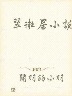 翠微居小说