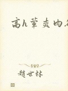 高h荤爽肉欲文