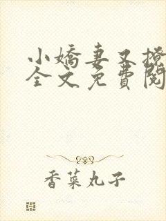 小娇妻又撩又甜全文免费阅读