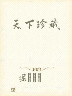 天下珍藏封面