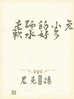 老师的小兔子好软水好多