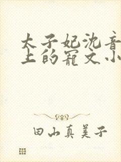 太子妃沈音和皇上的宠文小说