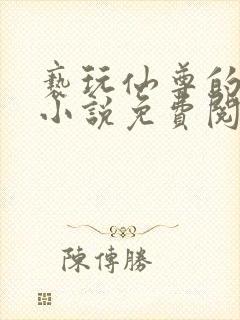 亵玩仙尊的道侣小说免费阅读