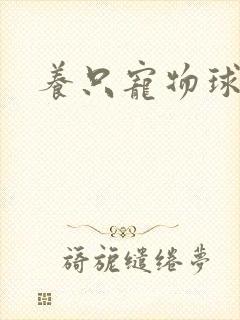 养只宠物球