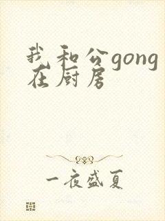 我和公gong在厨房