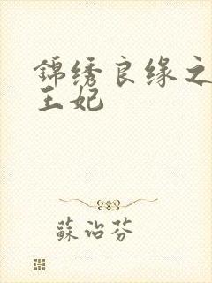 锦绣良缘之北地王妃封面
