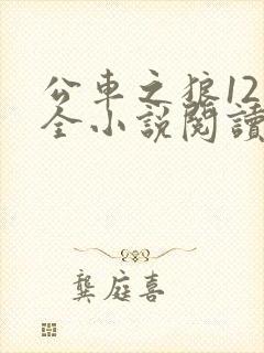 公车之狼12集全小说阅读