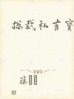 总裁私有宝贝封面
