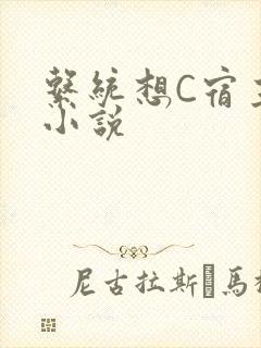 系统想C宿主的小说