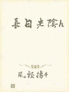 长日光阴h封面