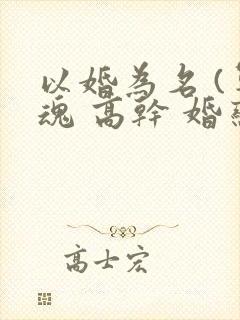 以婚为名 (军魂 高干 婚恋)