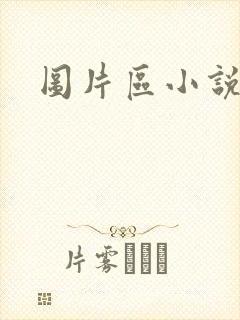 图片区小说区