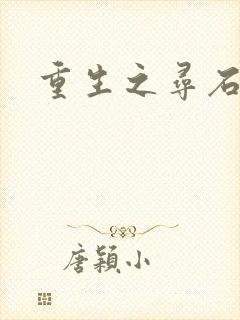 重生之寻石者