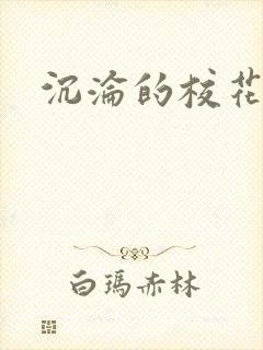 沉沦的校花