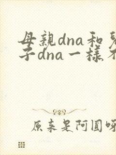 母亲dna和儿子dna一样不