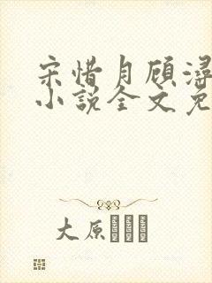 宋惜月顾浔渊的小说全文免费阅读
