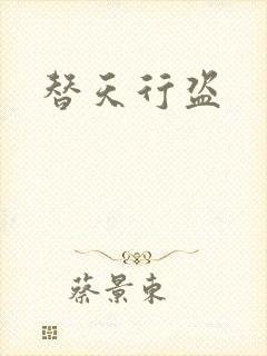 替天行盗