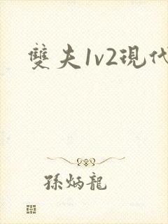 双夫1v2现代封面