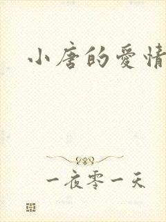 小唐的爱情史