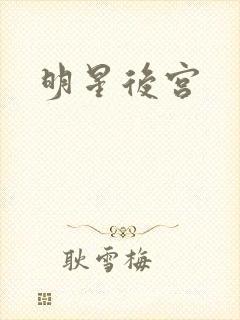 明星后宫