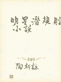 明星潜规则之皇 小说