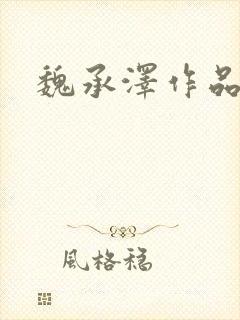 魏承泽作品封面
