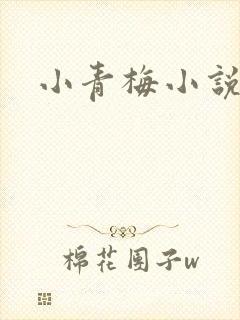 小青梅小说