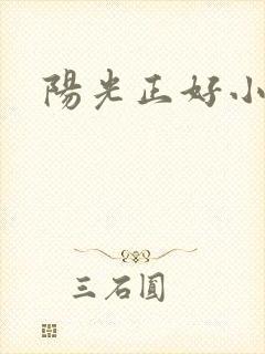 阳光正好小说