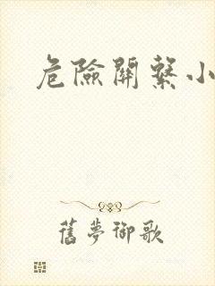 危险关系小说