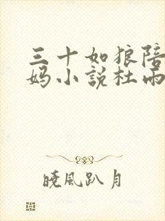 三十如狼陪读妈妈小说杜雨馨封面