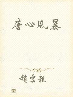 唐心风暴