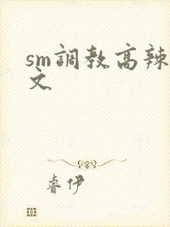 sm调教高辣h文封面