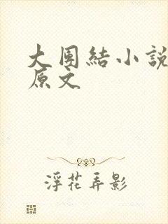大团结小说阅读原文封面