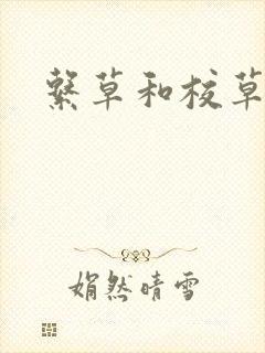 系草和校草