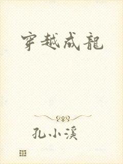 穿越成龙
