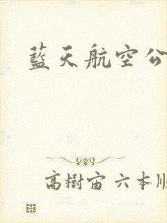 蓝天航空公司封面